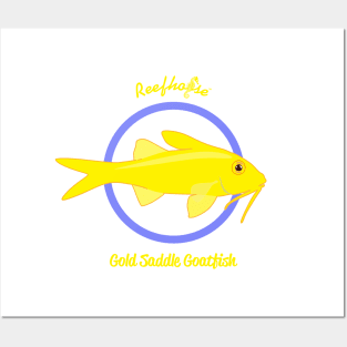 Gold Saddle Goatfish Posters and Art